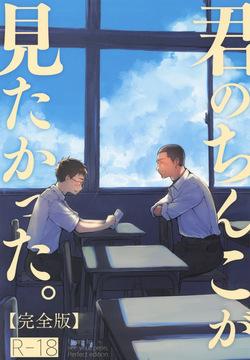 Kimi no Chinko ga Mitakatta