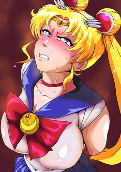 セーラームーン無様録