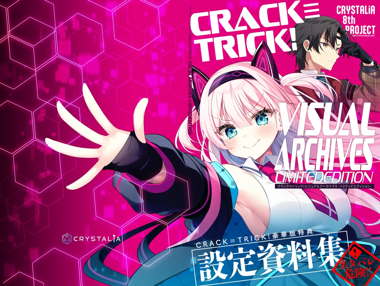CRACK≡TRICK! Design Works Visual Archives Limited Edition page 1 full