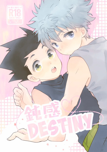 Donkan DESTINY cover