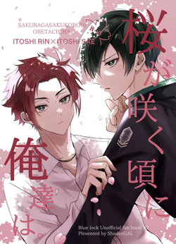 Sakura ga sakukoro ni, oretachi wa