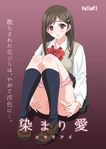 Somari ai cover