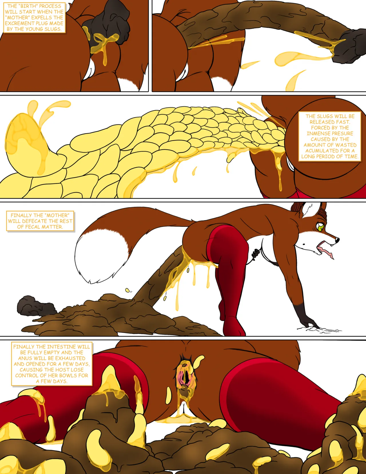 Oviposition Gal page 3 full
