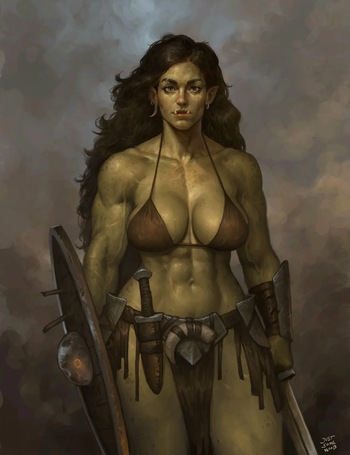 Orc Raider cover