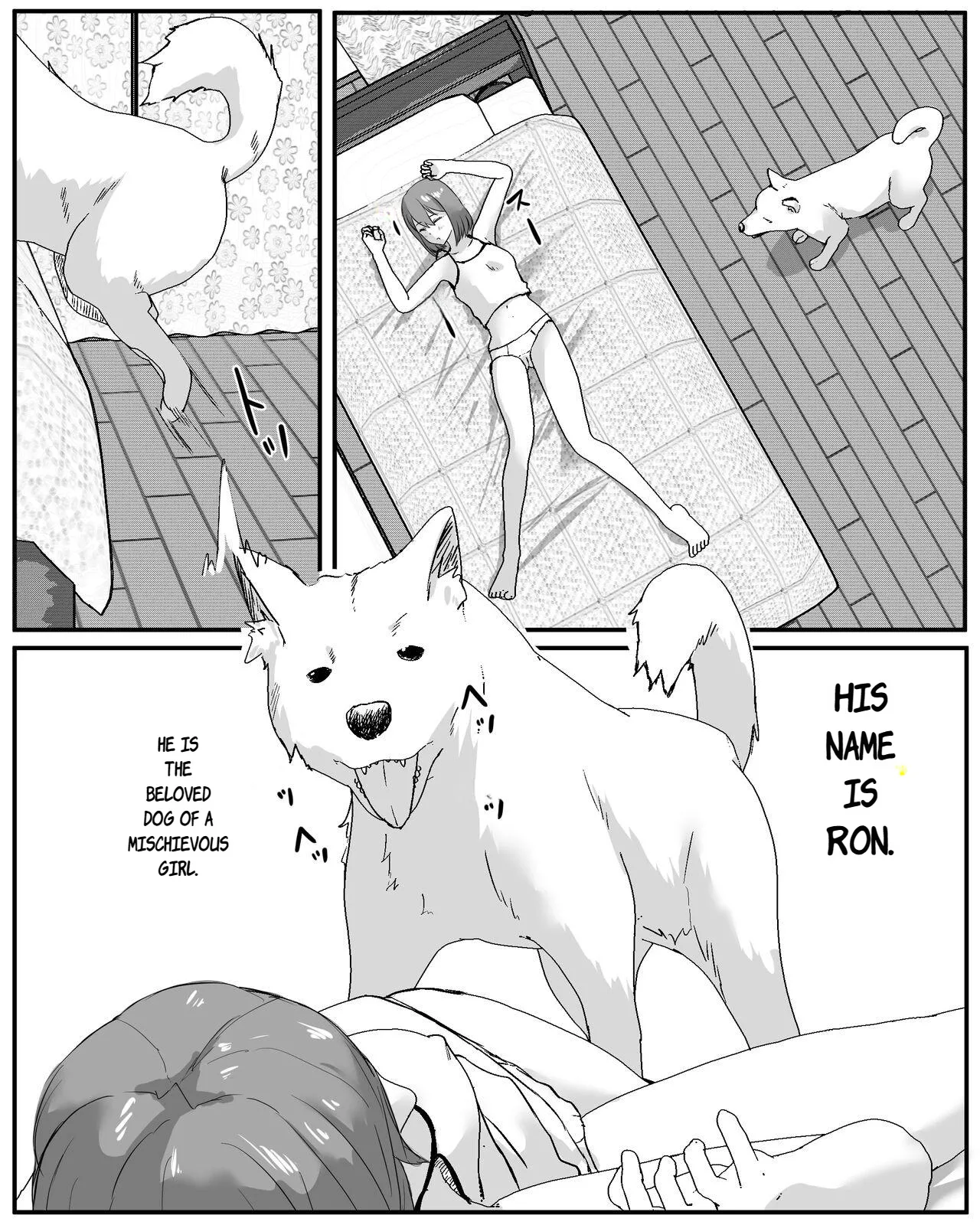 dog well I was sleeping page 3 full