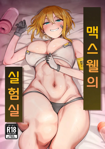맥스웰의 실험실 cover