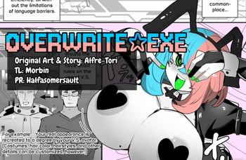 Overwrite.Exe cover