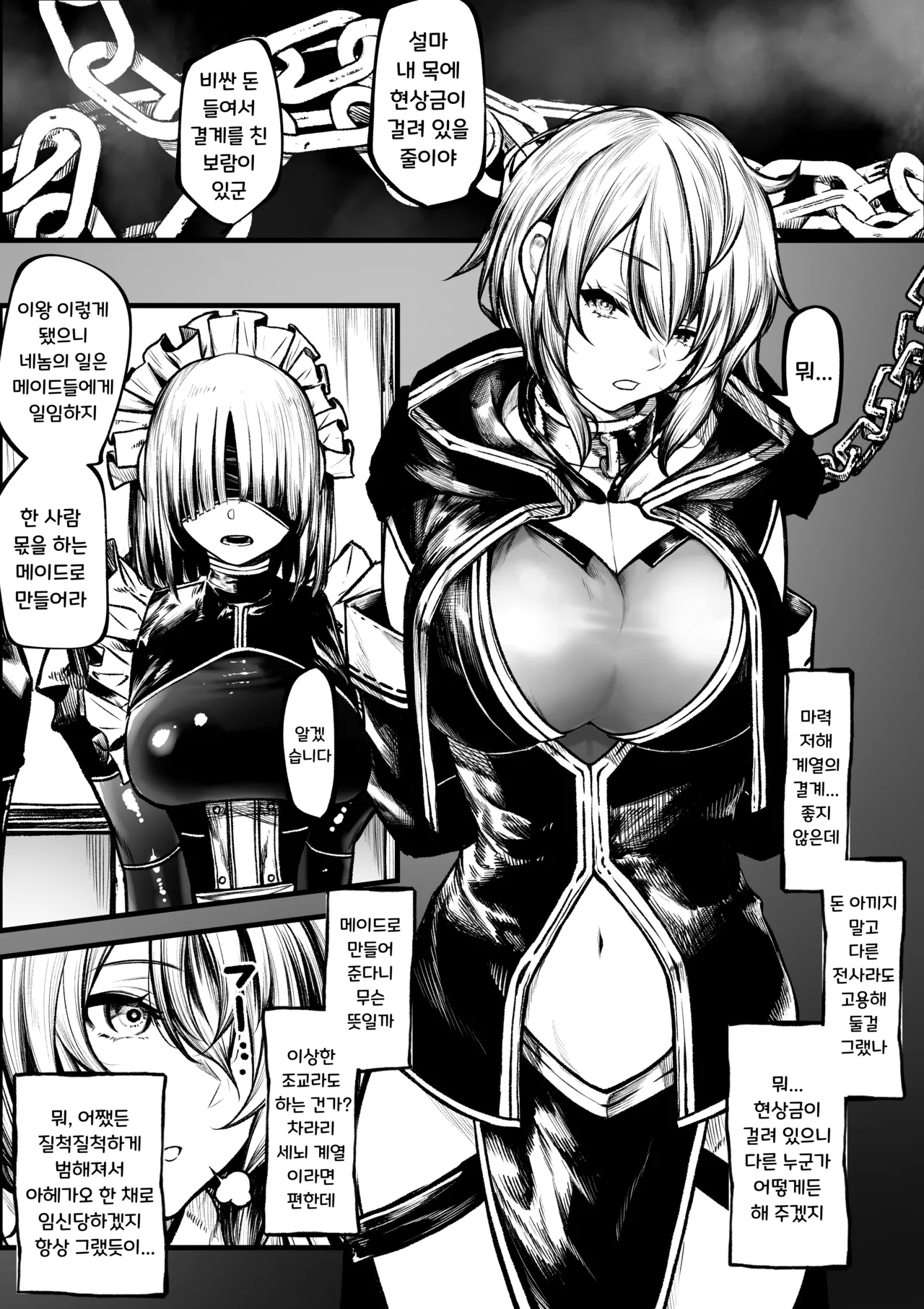 메이드가 되어버리는 마도사 page 1 full