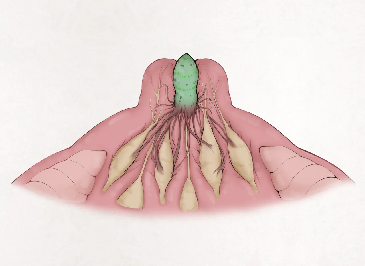 Insect Research Report No.28 page 7 full