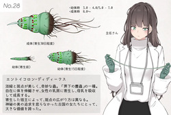 Insect Research Report No.28