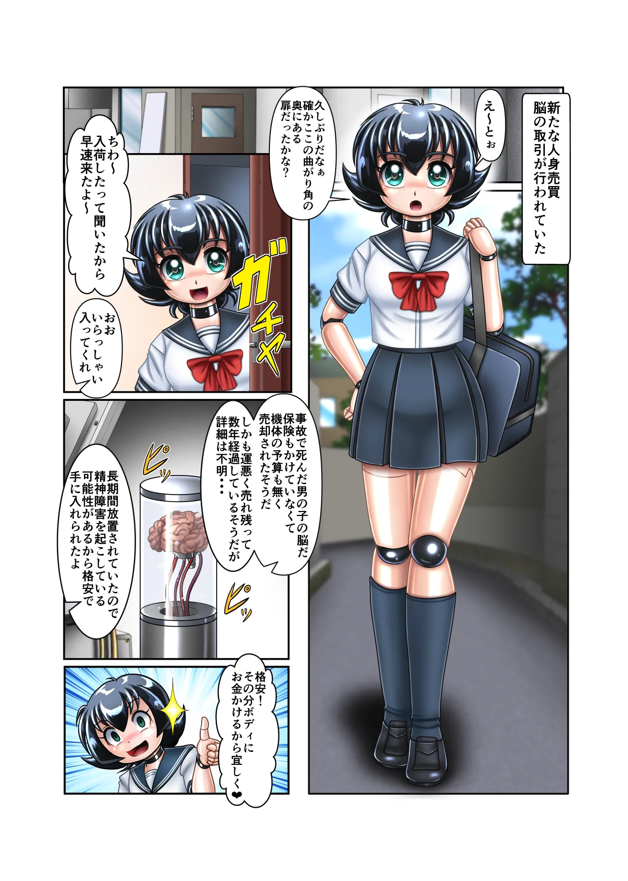 DS脳は少女の夢を見るか? page 4 full