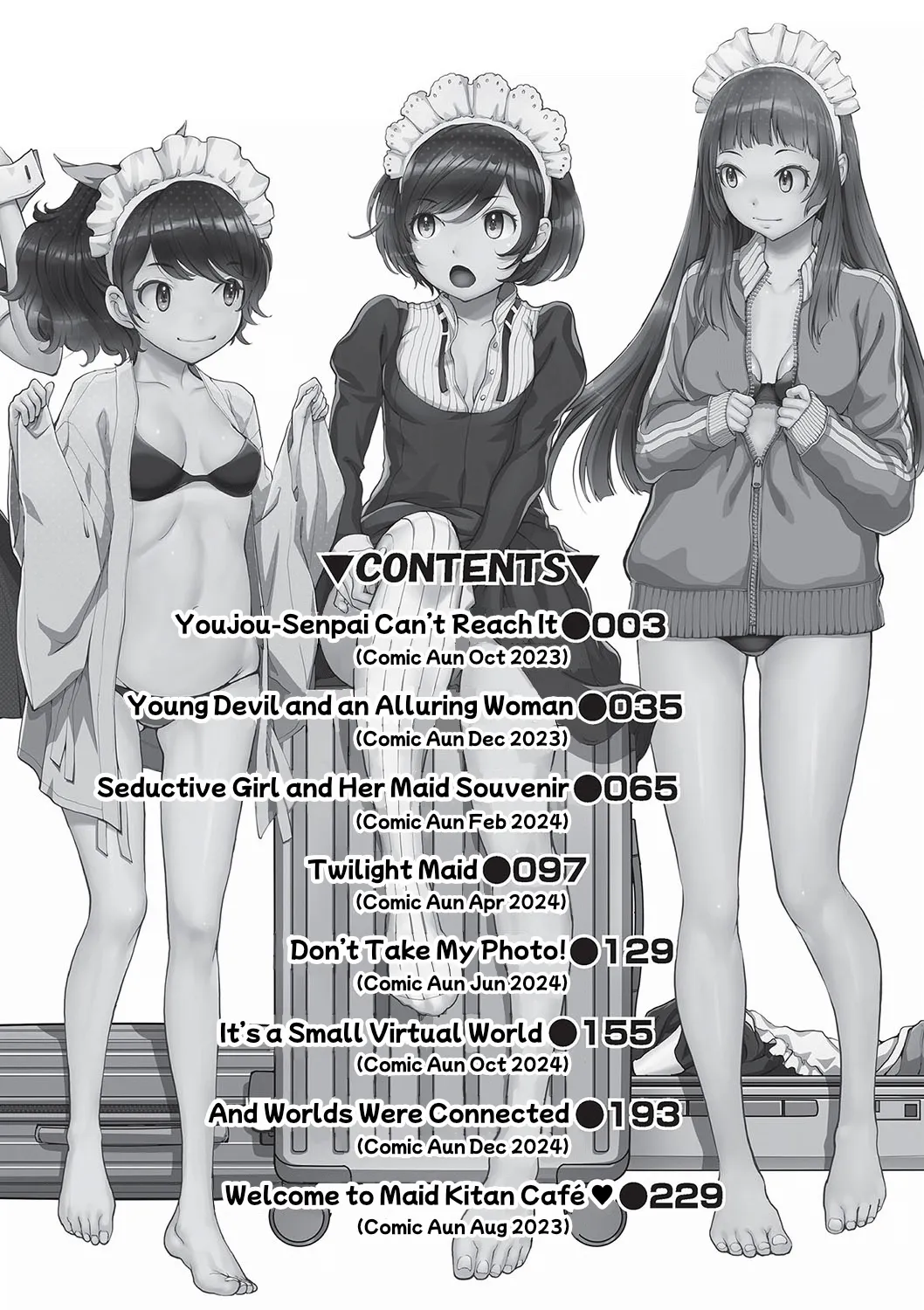 Cosplay Maid ga Ikagawashii page 3 full