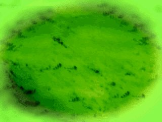 Mahjong Doukyuusei Animated Scene page 8 full