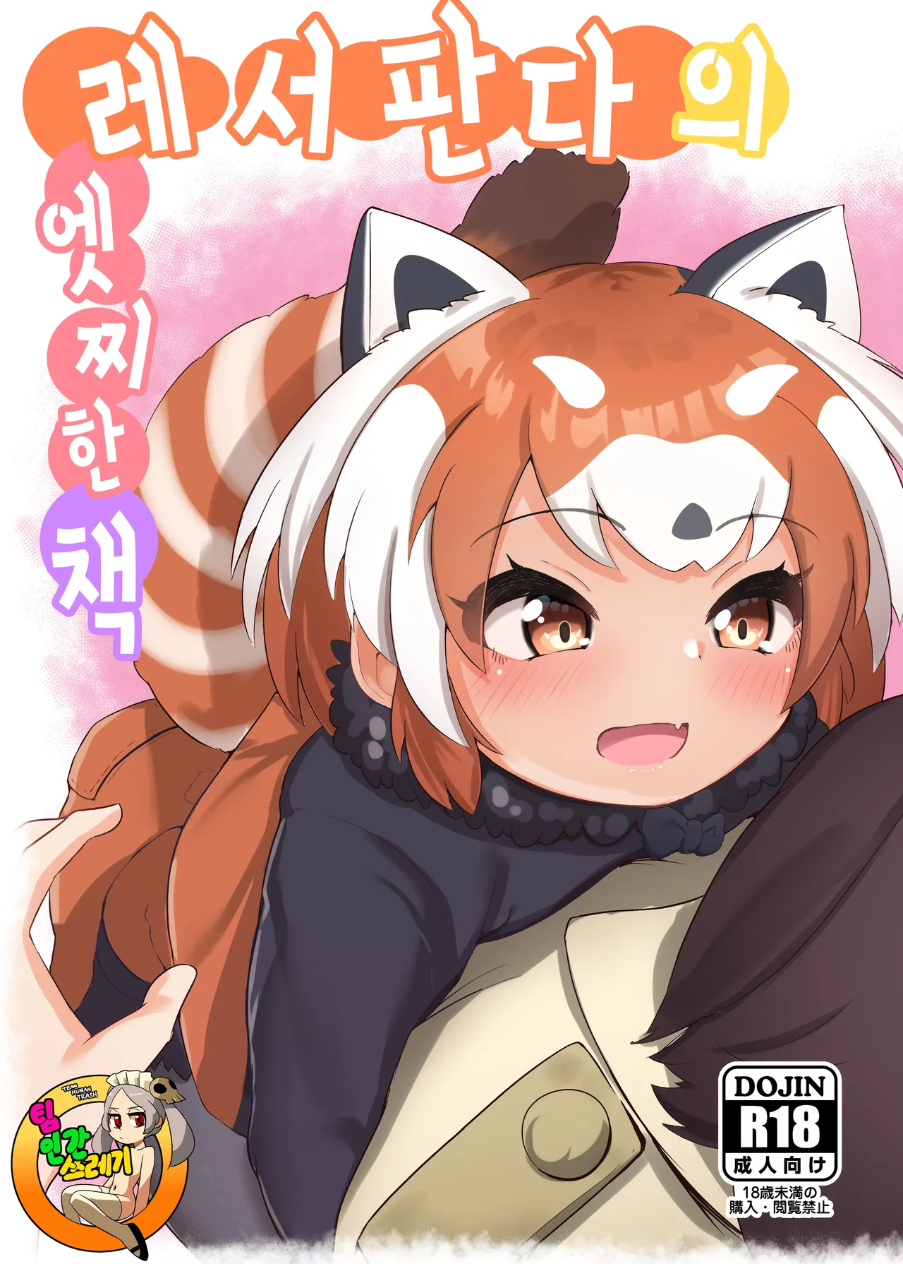 Lesser Panda no Ecchi na Hon | 레서판다의 엣찌한 page 1 full