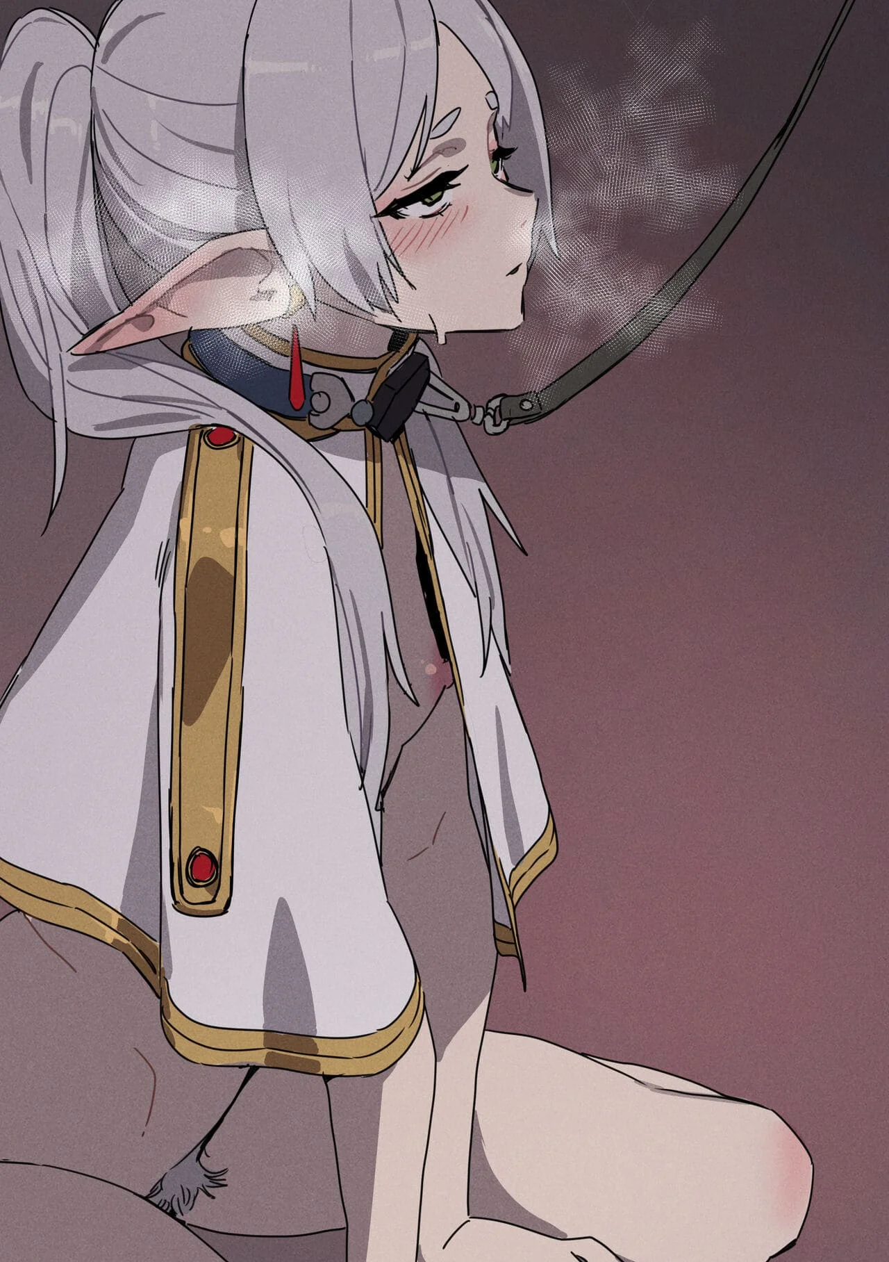 Chagjeong-ui Frieren -Jogyopyeon-｜Frieren Derrotada -Guía de Entrenamiento- page 2 full