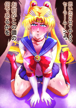 悪に忠誠を誓うセーラームーン