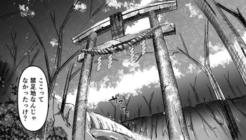Shirikodama cover