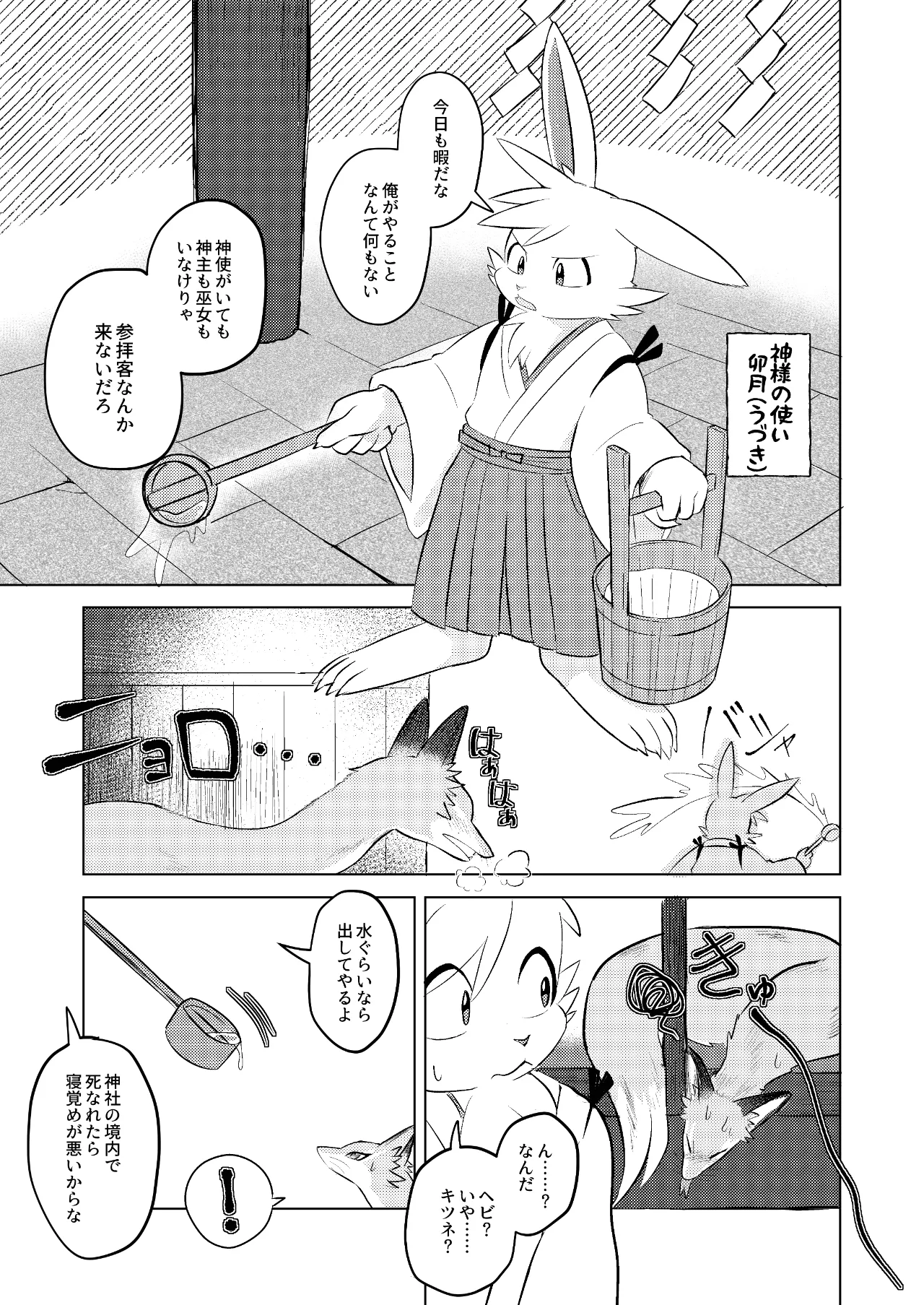Hebigitsune Megamisama × Usagi Shinshi page 3 full
