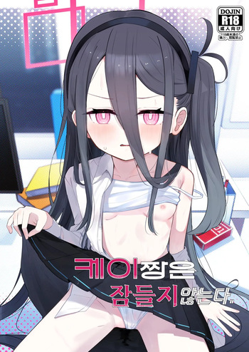 케이짱은 잠들지 않는다 cover