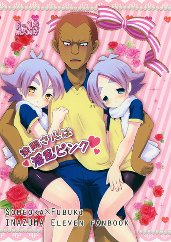 Someoka-san wa Inran Pink cover