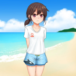 Natsuda! Umida! Otoko Mizugi Challenge!