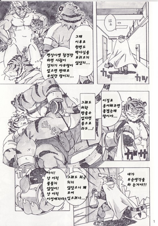 Choujuu Gasshin Build Tiger 5 | 초수합신 빌드 타이거 5 page 3 full