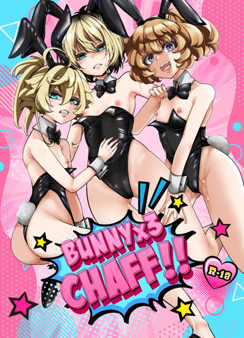 bunny x 3 chaff cover