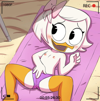 The Webby Collection cover