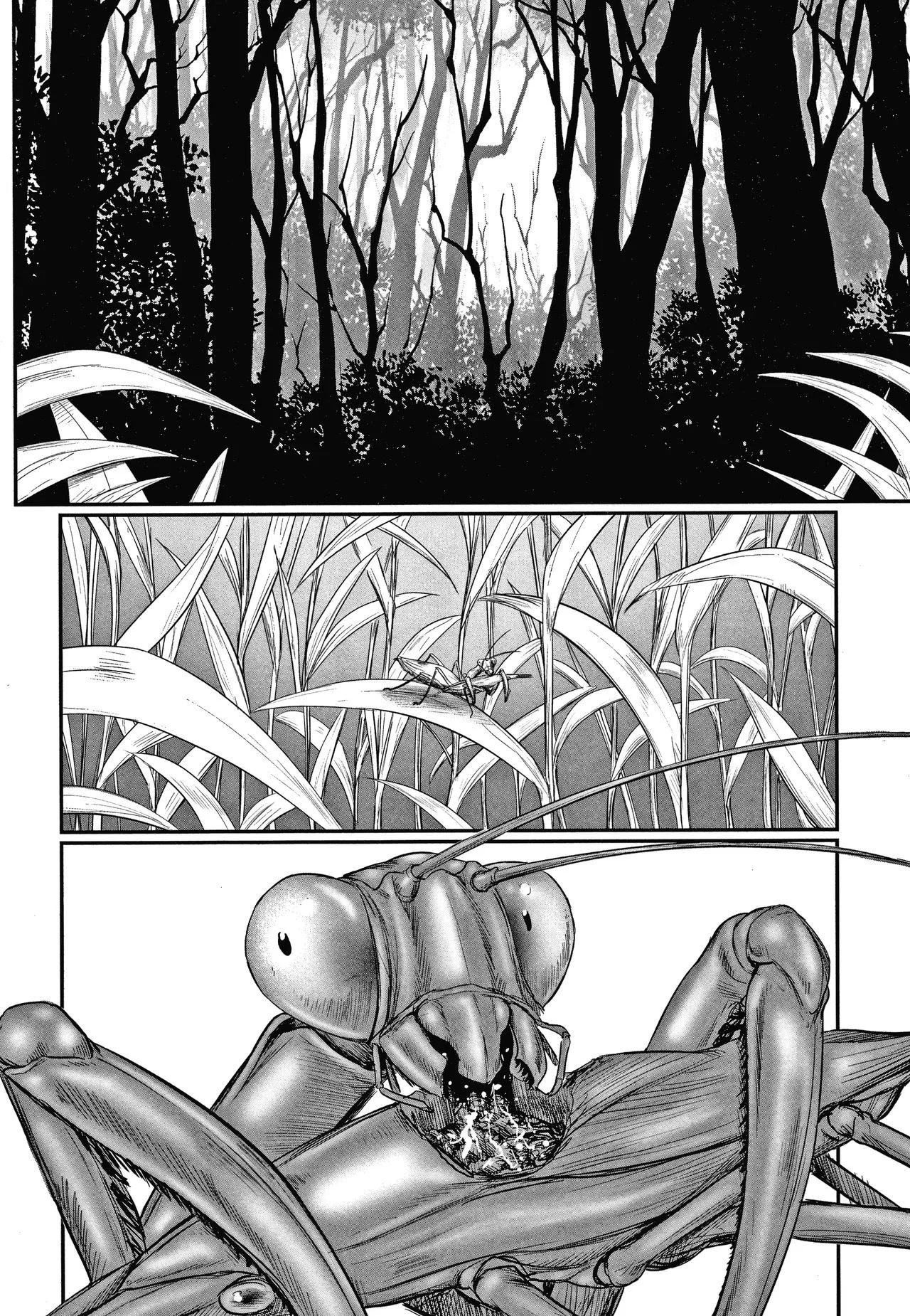 Kusamura｜En la Hierba page 4 full