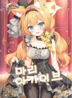마리 아카이브 -Ameto yuki, 마리 동인지