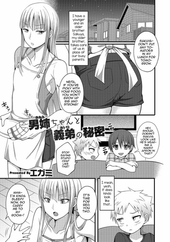 Onee-chan to Otouto no Himitsu cover