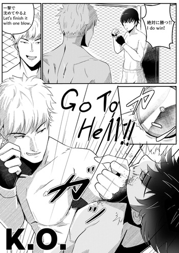 Mixed Fight! cover