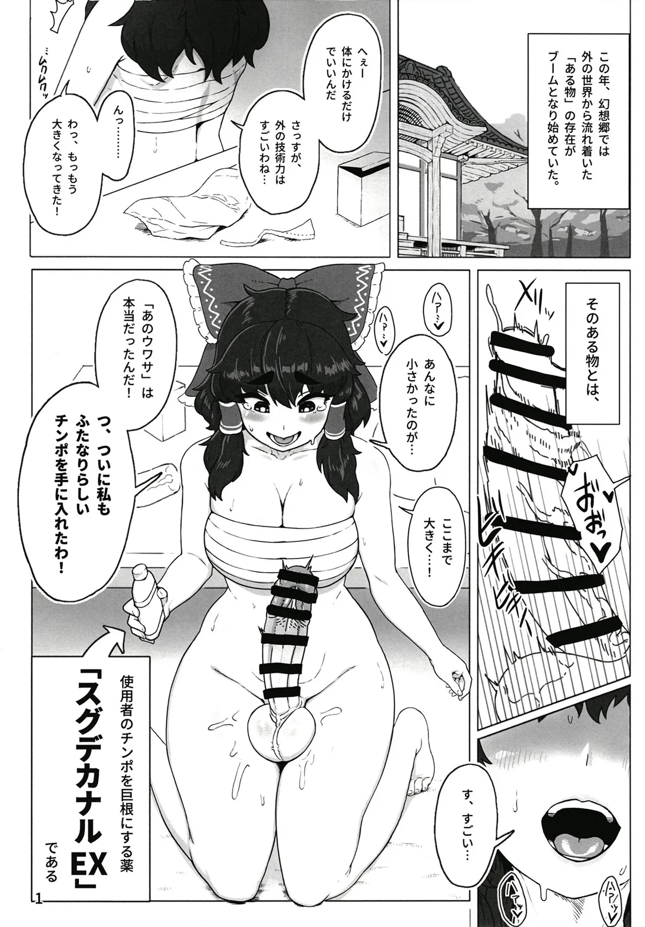 東方ふたなり事変 巫女と妖精、初めての尿道セックス page 3 full
