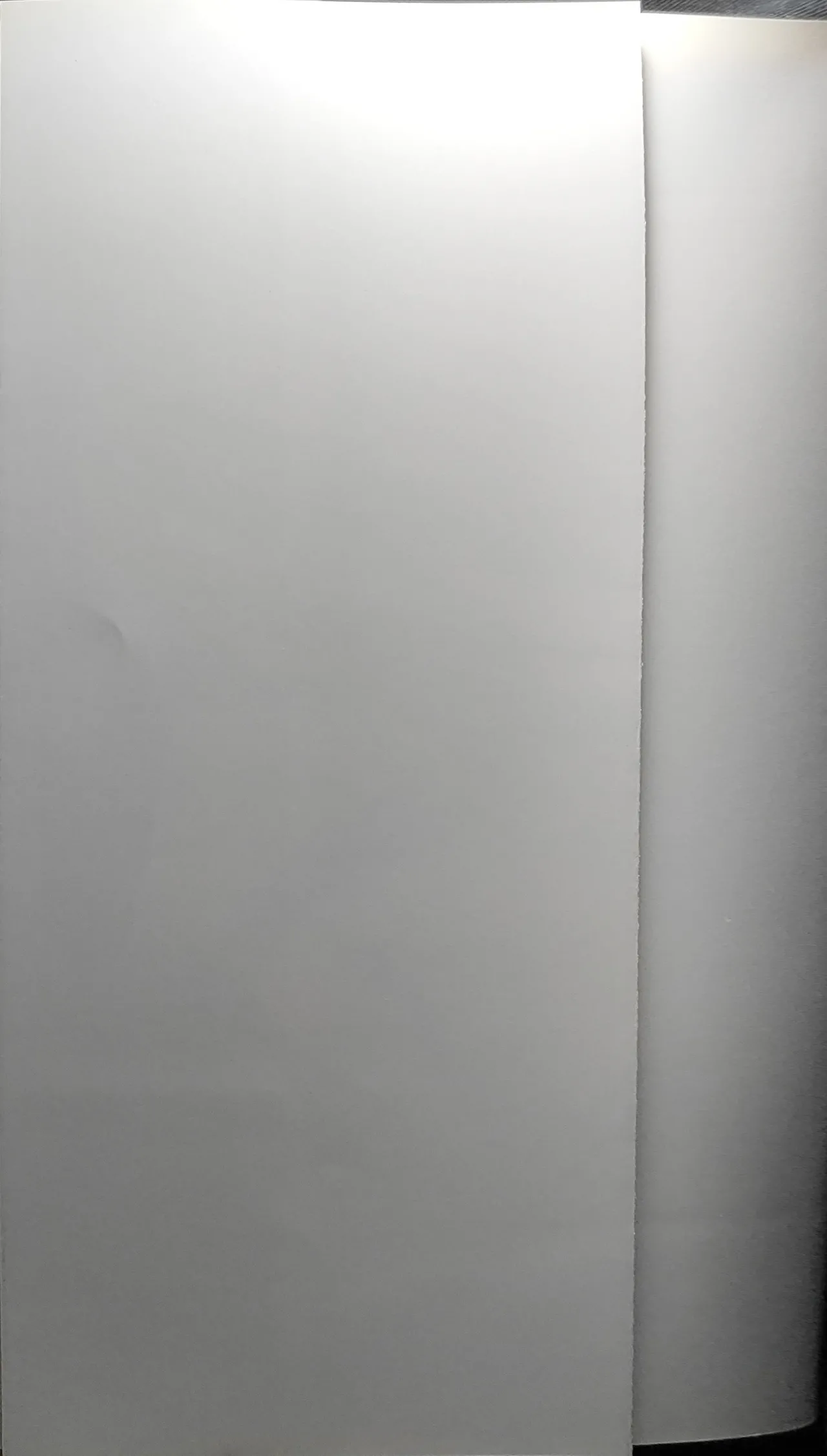 黒愛 公式ビジュアルファンブック 一夜妻館実録 page 8 full