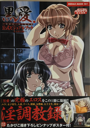 黒愛 公式ビジュアルファンブック 一夜妻館実録 cover