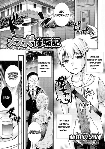 Mesuinu Taikenki | Bitch Testimonial cover