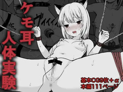 Kemomimi jintai jikken