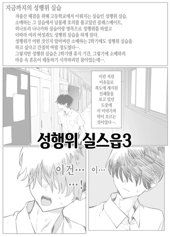 Seikoui Jisshuu3 | 성행위 실스읍3 cover