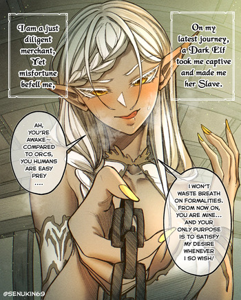I Was Captured as a Dark Elf’s Toy cover