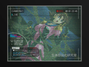 tsuyateka shinshoku no e 9 cover