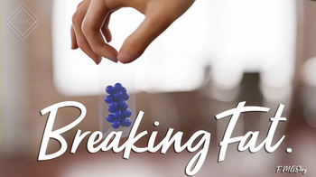 Breaking Fat cover