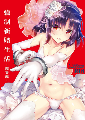 Kyousei Shinkon Seikatsu -Soushuuhen- cover