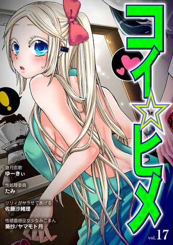 Koi-hime vol. 17 cover
