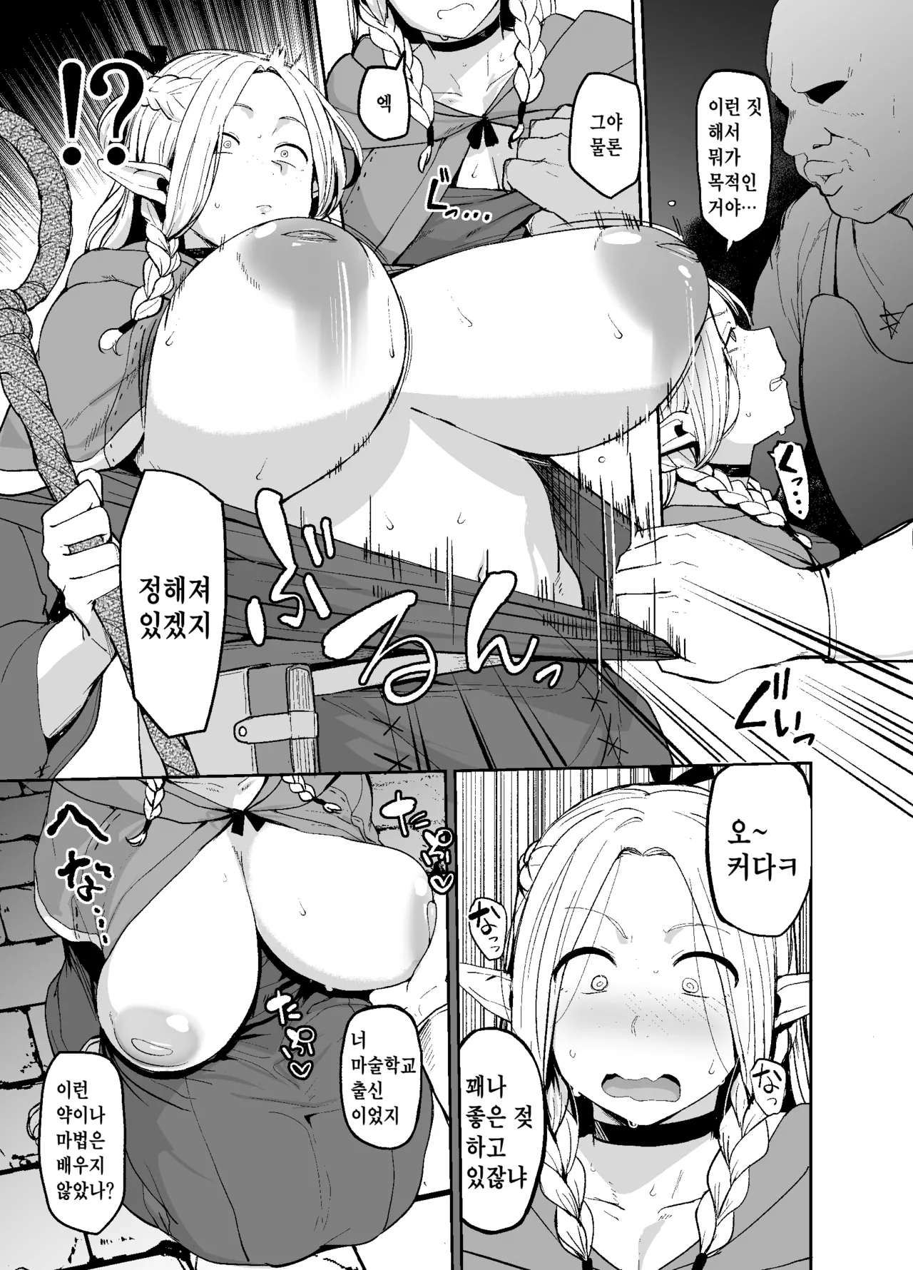 Chin Ochi Donkusa Elf | 자지 타락 얼간이 엘프 page 10 full