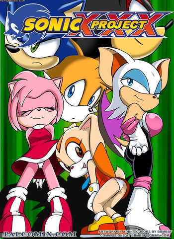 Sonic Project XXX All cover