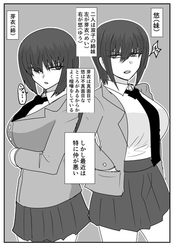 Ni Tenai Futago no Onnanoko no Hanashi cover