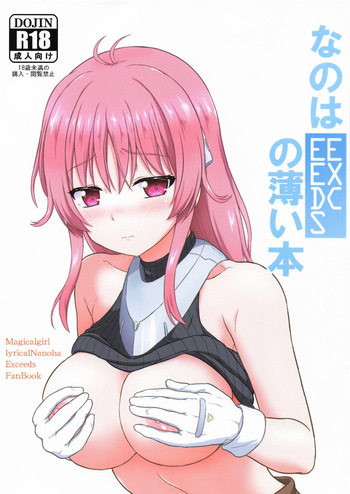 なのはEXCEEDSの薄い本 cover