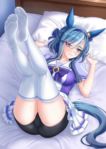 Umamusume collection cover