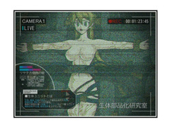 tsuyateka shinshoku no e 8