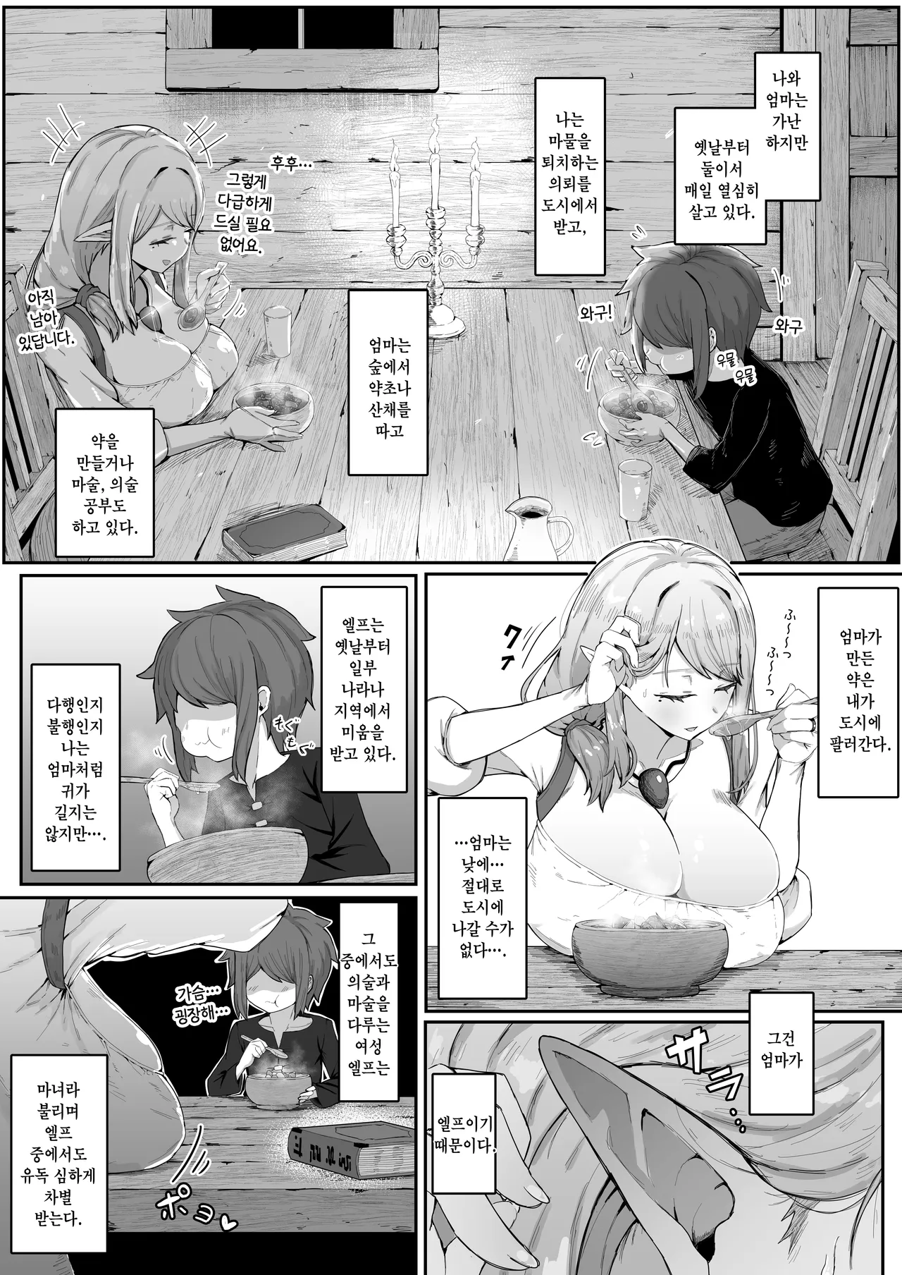 Elf no Haha to Haramu made | 엘프인 엄마와 임신할 때까지 page 9 full